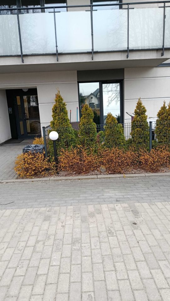 Mieszkanie 2-pokojowe Mława. Zdjęcie 6