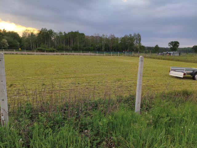 Działka siedliskowa Witoldów. Zdjęcie 1
