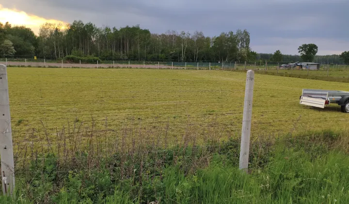 Działka siedliskowa Witoldów