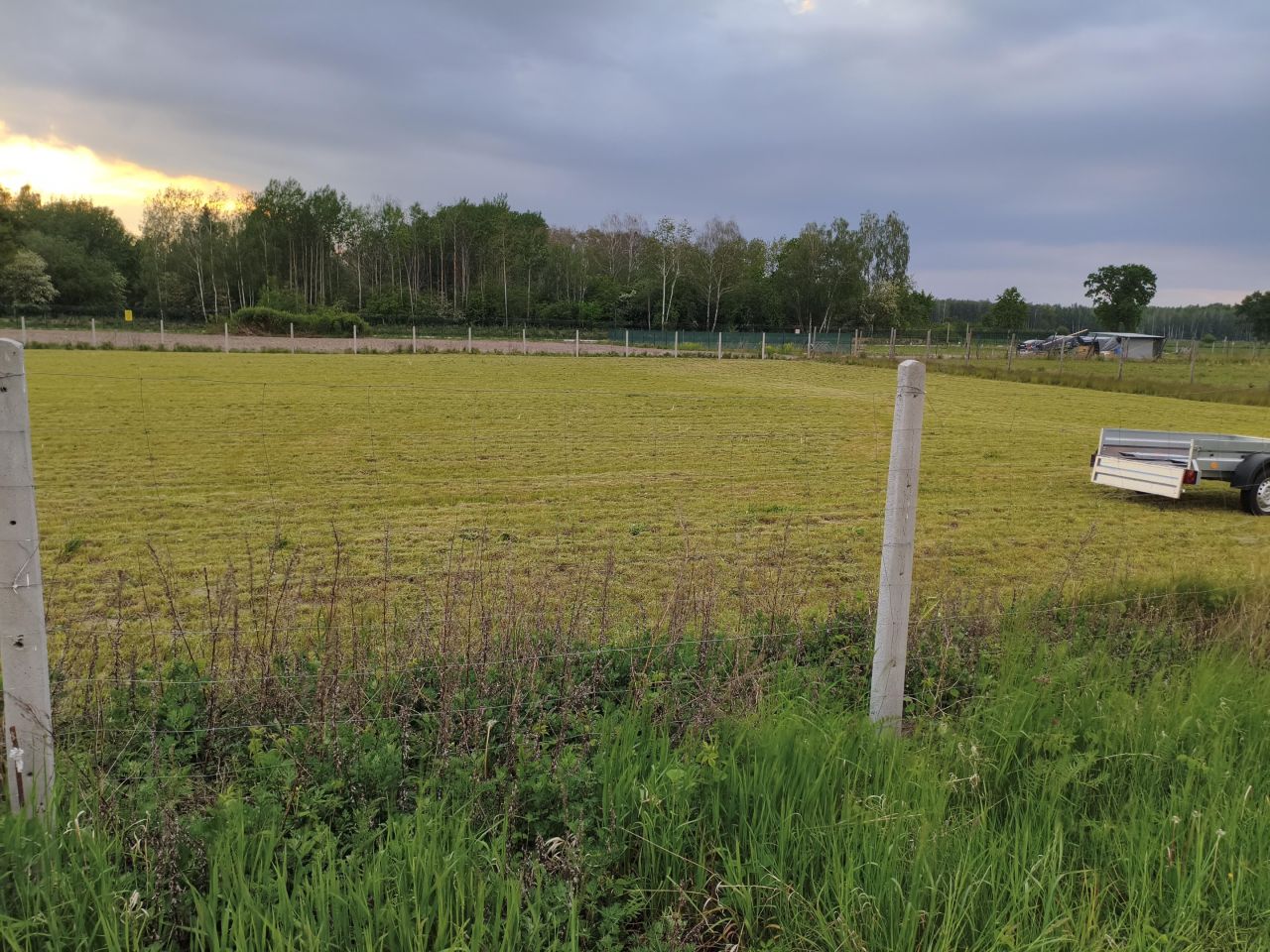 Działka siedliskowa Witoldów. Zdjęcie 1
