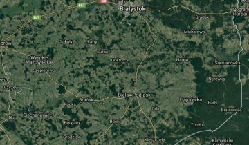 Działka leśna Husaki