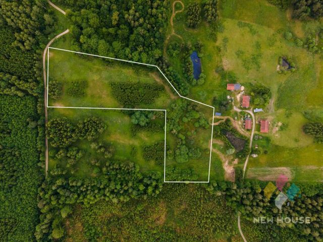 Działka siedliskowa Cerkiewnik. Zdjęcie 3