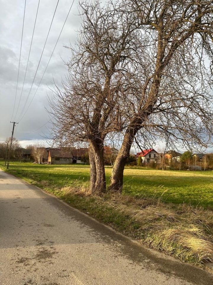 Działka budowlana Mników. Zdjęcie 4