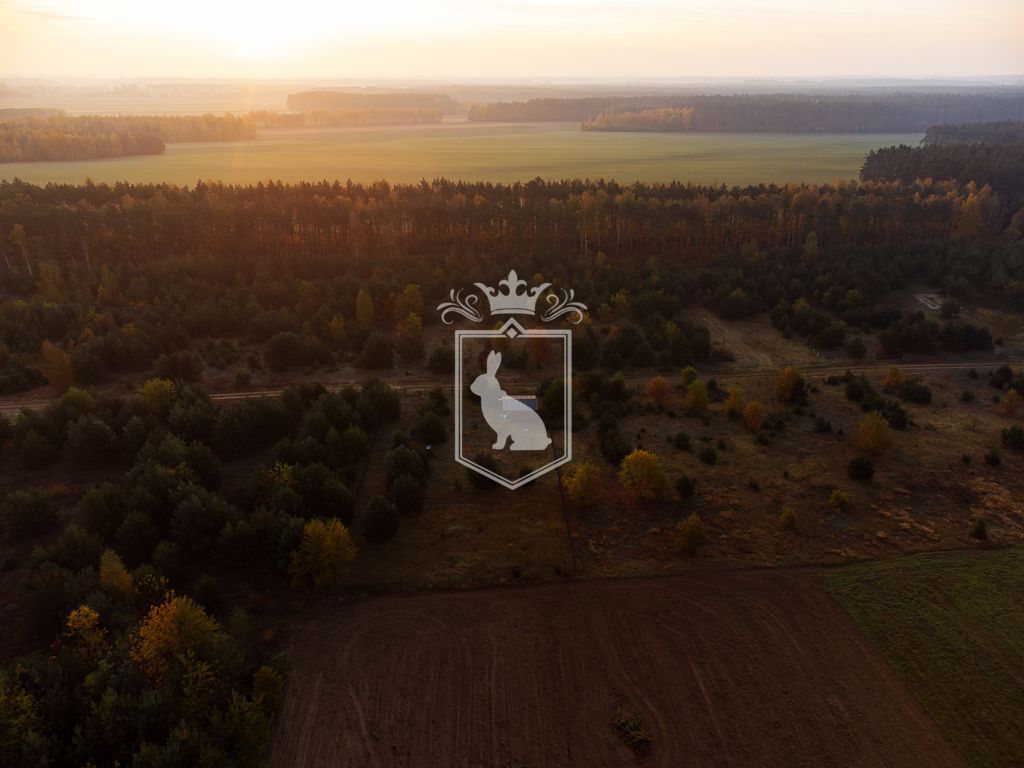 Działka budowlana Gnojno. Zdjęcie 11