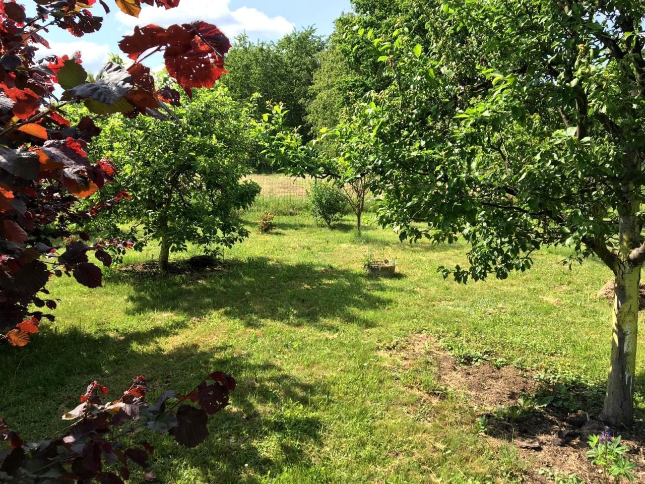 dom wolnostojący, 3 pokoje Jasiów. Zdjęcie 9