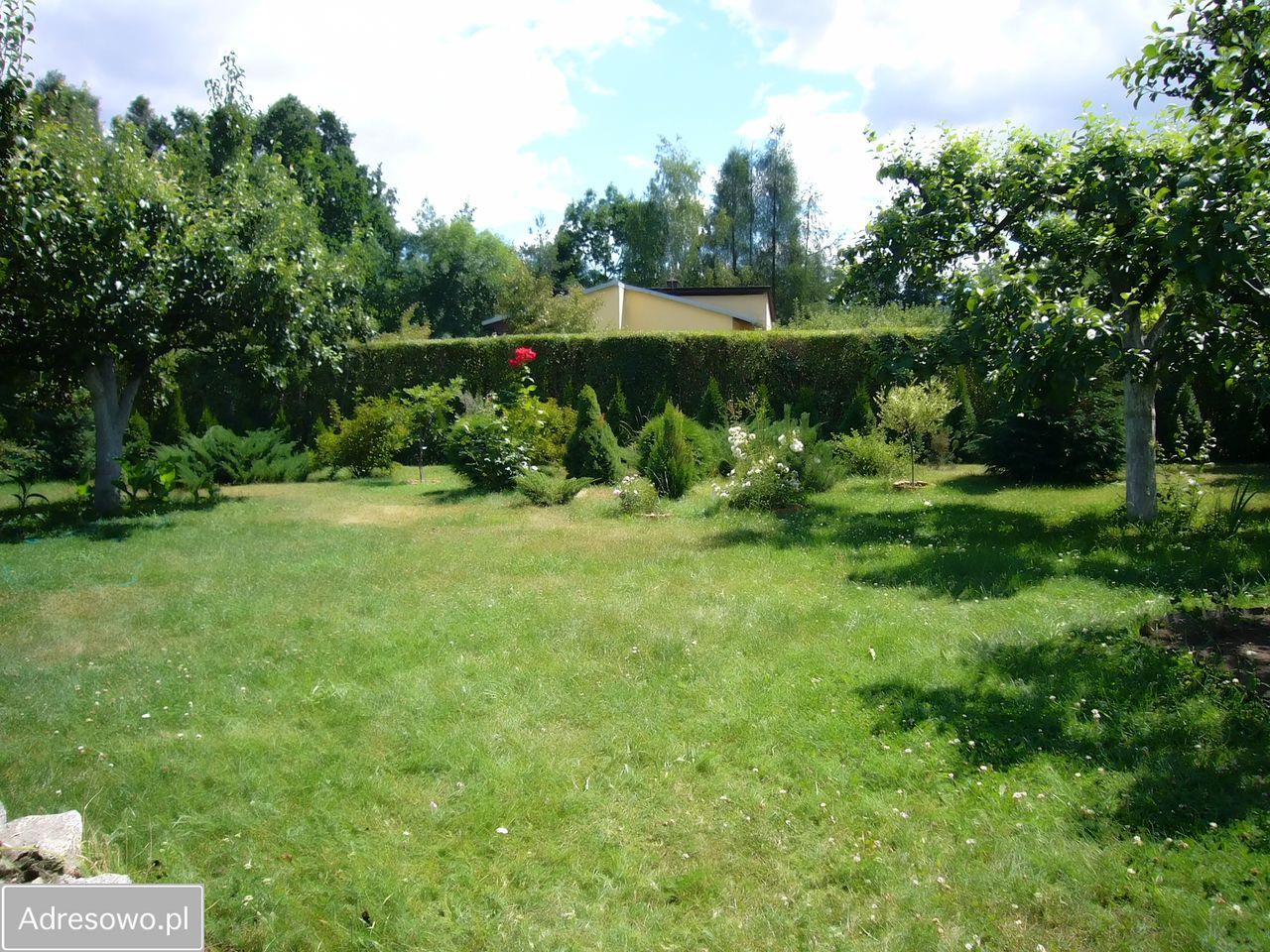 Działka rod Okołowice. Zdjęcie 10