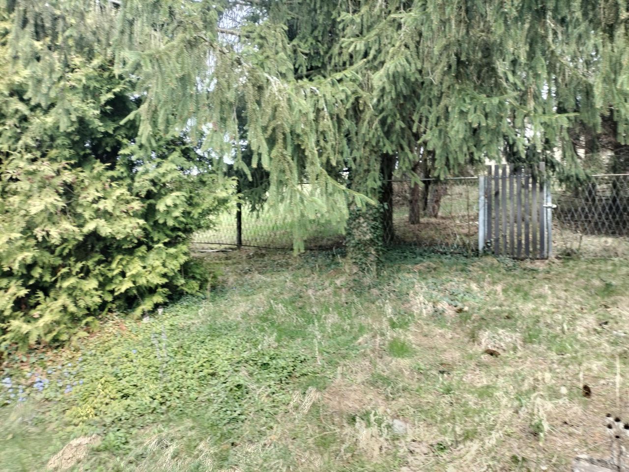 Działka rolno-budowlana Minoga. Zdjęcie 16