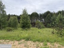 Działka rekreacyjna Nowa Łuka. Zdjęcie 4