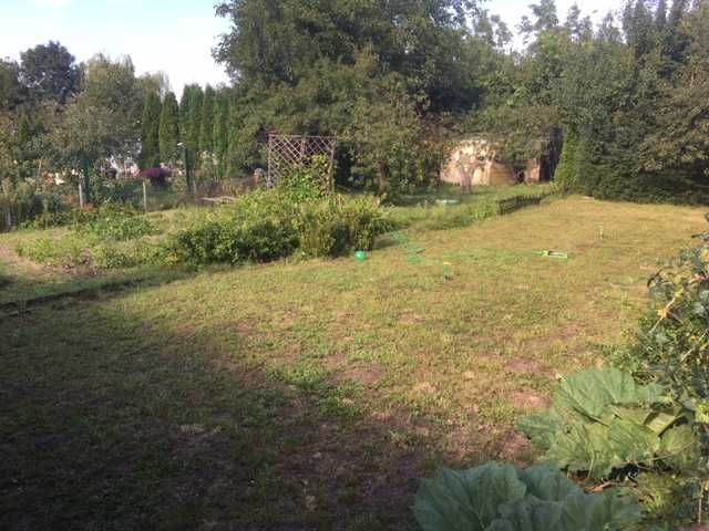 Działka rod Rypin. Zdjęcie 6