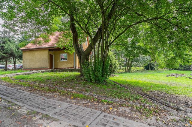 Działka inwestycyjna Wysoka Wielka. Zdjęcie 1