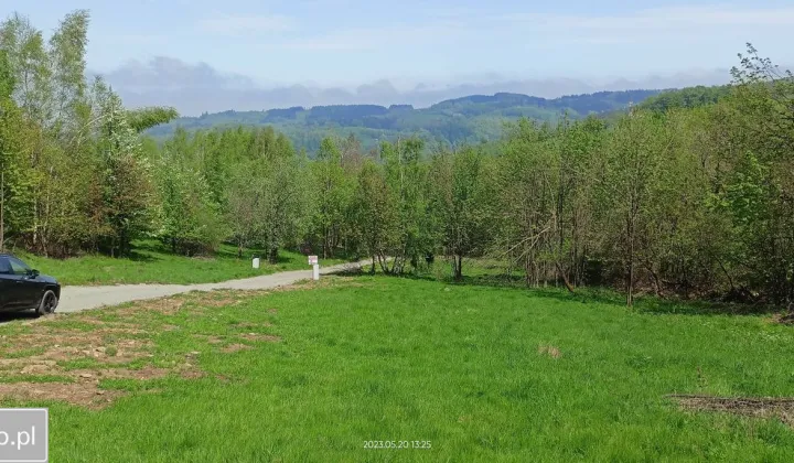 Działka budowlana Walim, ul. Królowej Jadwigi