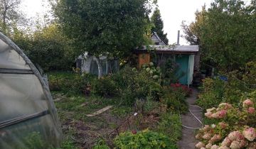 Działka rod Międzyrzecz, ul. Piastowska