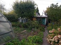 Działka rod Międzyrzecz, ul. Piastowska