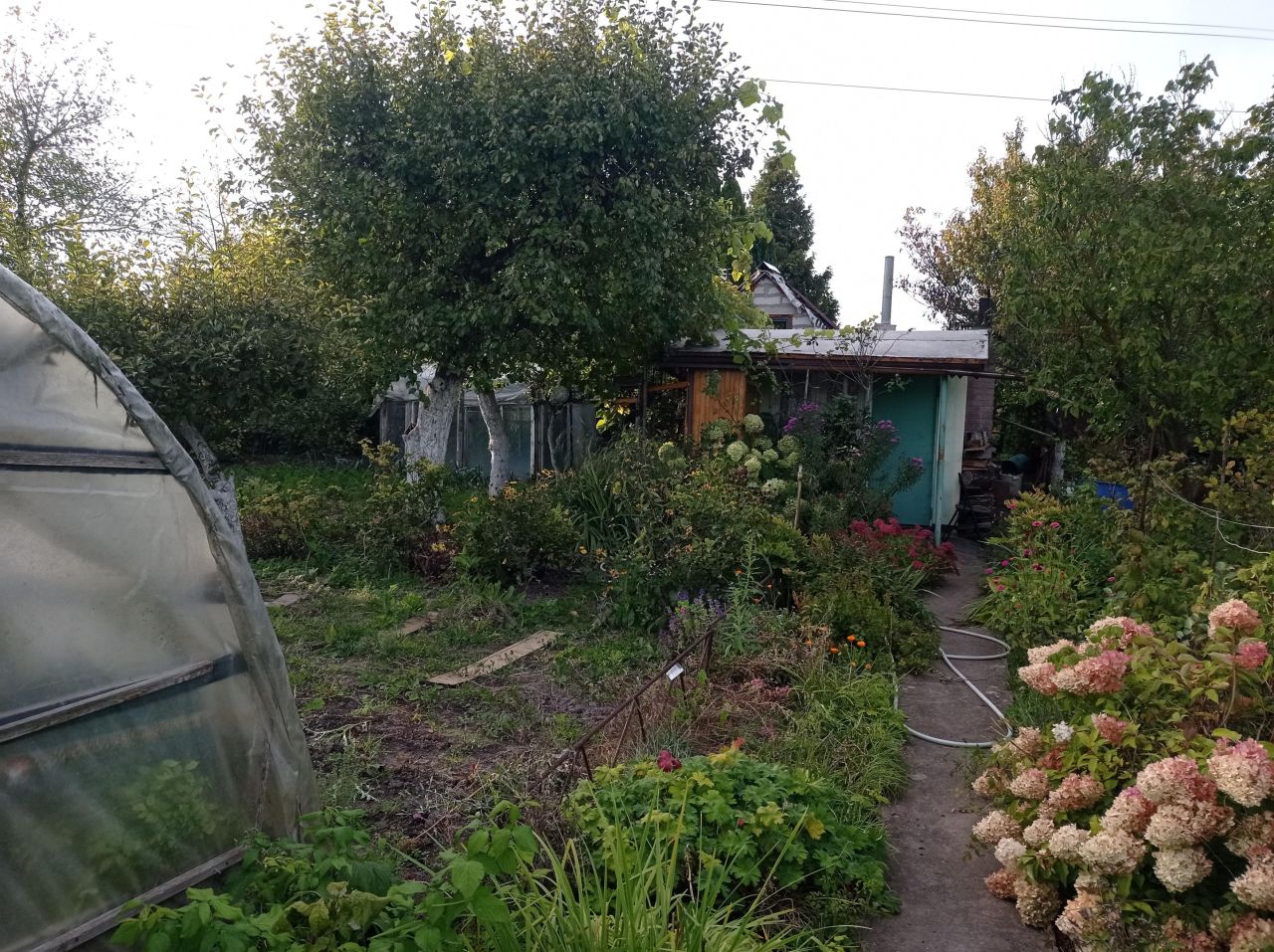 Działka rod Międzyrzecz, ul. Piastowska