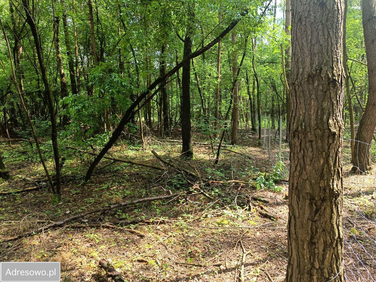 Działka budowlana Ostrowina. Zdjęcie 13