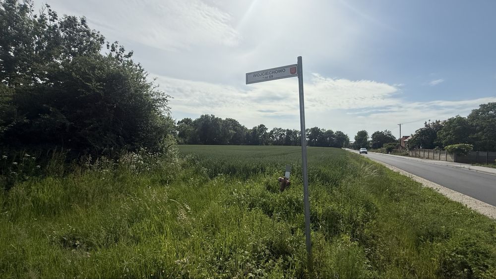 Działka rolna Wojciechowo. Zdjęcie 5