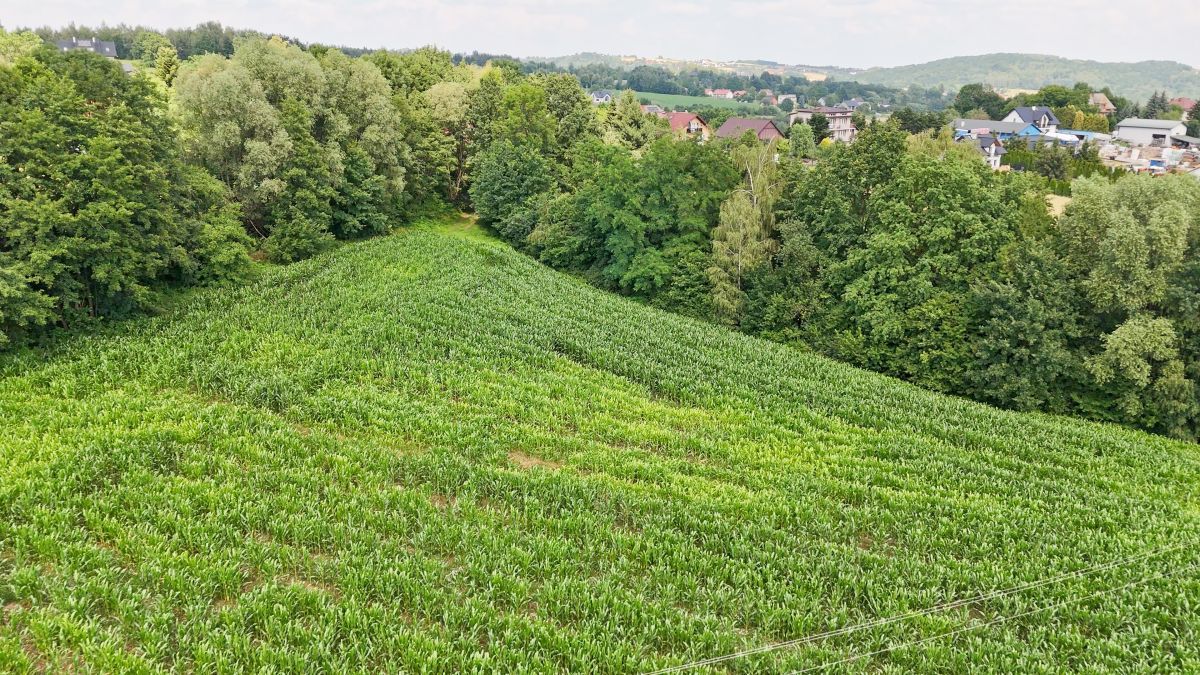 Działka budowlana Grajów. Zdjęcie 10