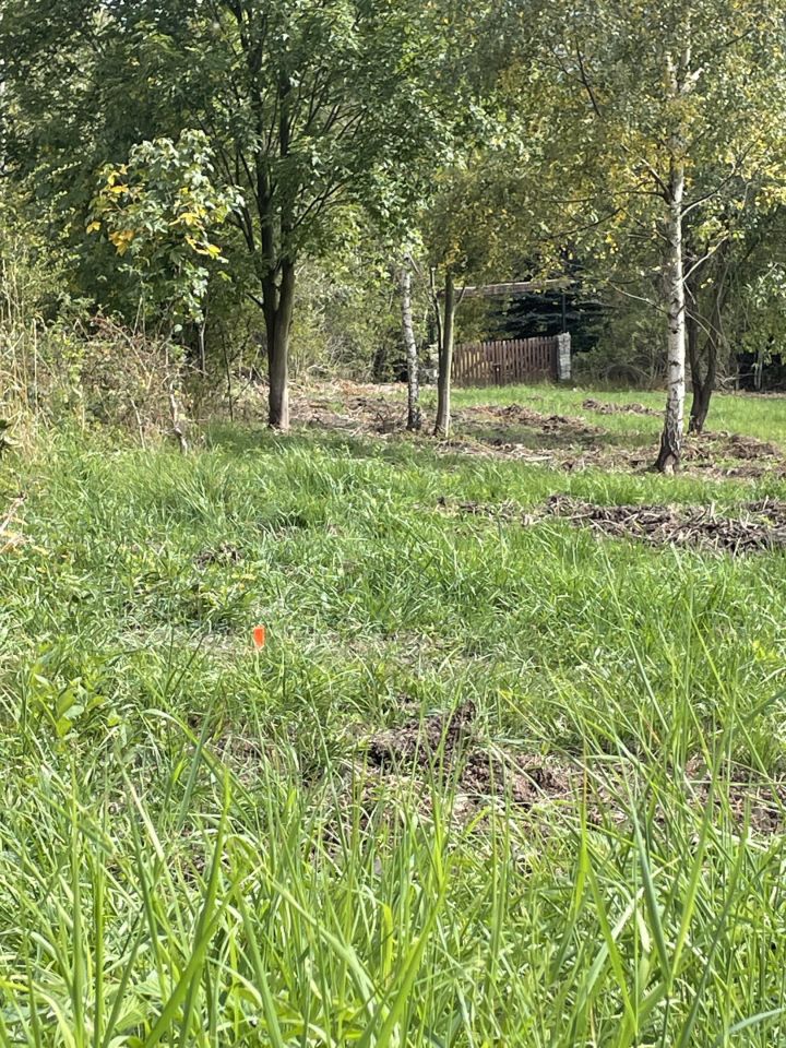 Działka budowlana Grzmiąca. Zdjęcie 7