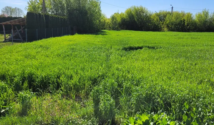 Działka rolno-budowlana Szczuczyn, ul. Szczuki