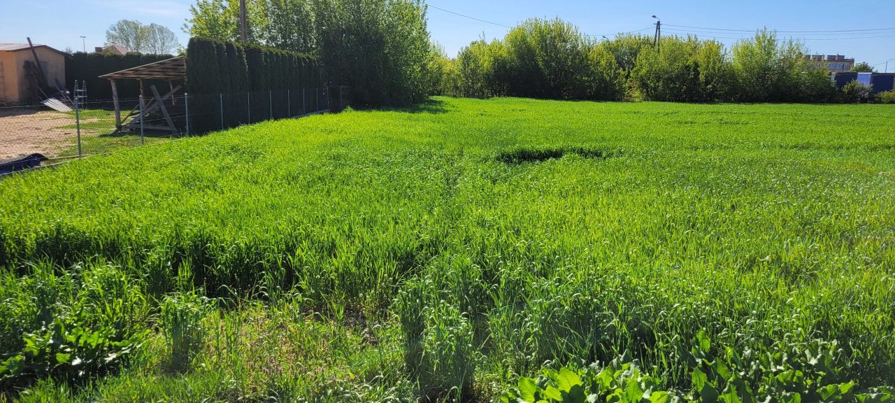 Działka rolno-budowlana Szczuczyn, ul. Szczuki