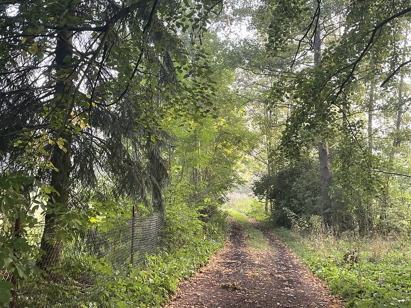 siedlisko, 4 pokoje Radzików-Oczki. Zdjęcie 24