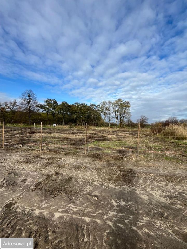 Działka rolno-budowlana Podkampinos. Zdjęcie 3