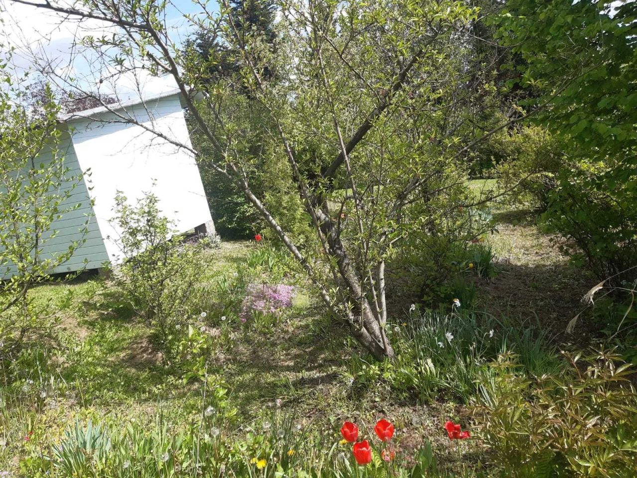 Działka rod Krosno. Zdjęcie 8