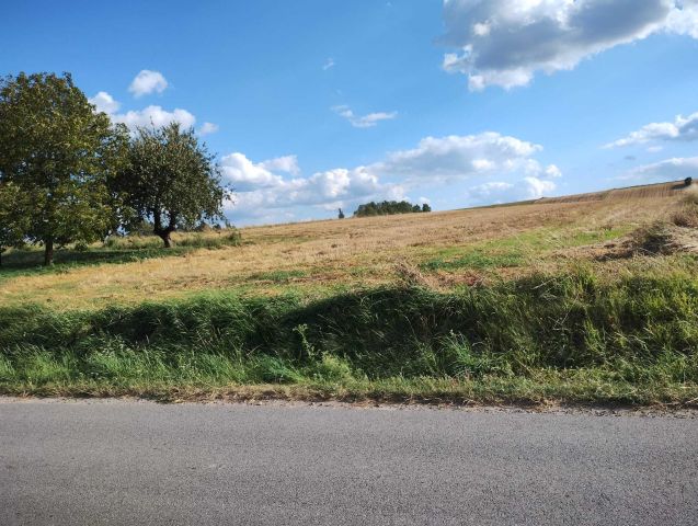 Działka rolno-budowlana Imbramowice. Zdjęcie 1