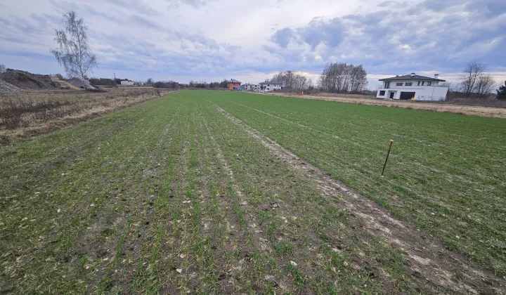 Działka budowlana Michałowice-Wieś