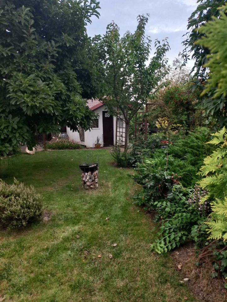 Działka rod Łasin. Zdjęcie 7