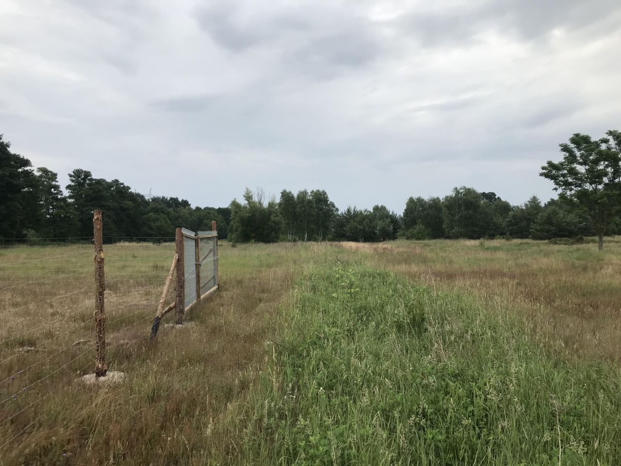 Działka budowlana Zielona Góra Jarogniewice, ul. Jarogniewice. Zdjęcie 4