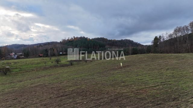 Działka rolna Paraszyno. Zdjęcie 5