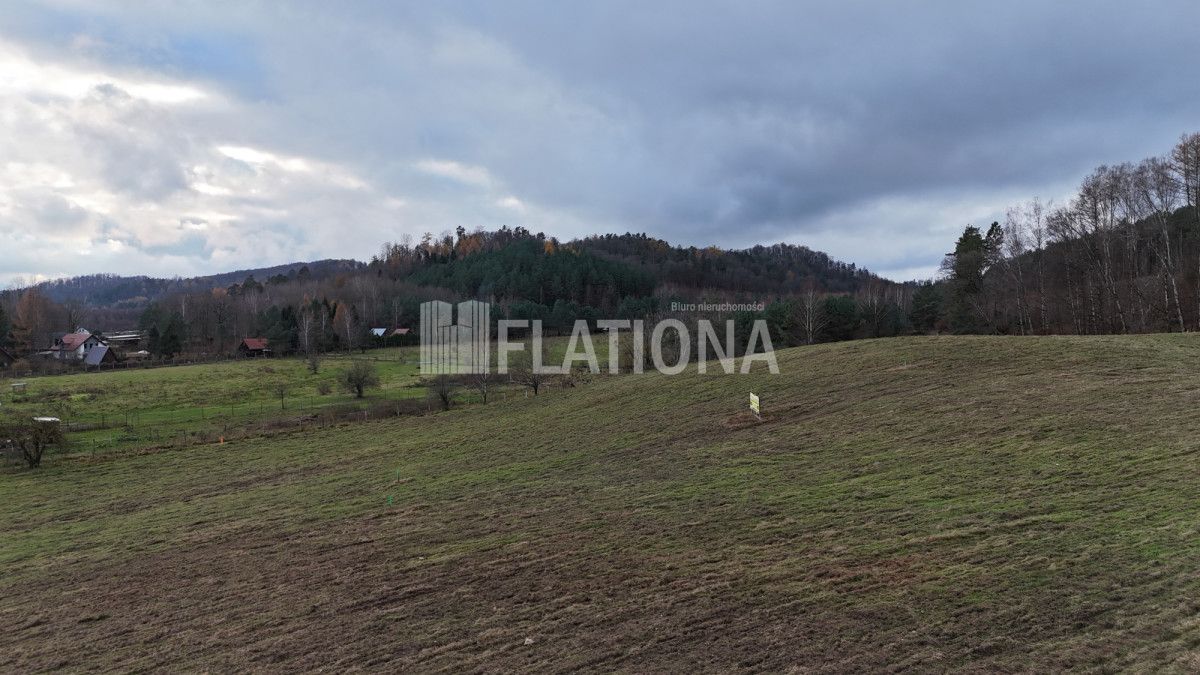 Działka rolna Paraszyno. Zdjęcie 5