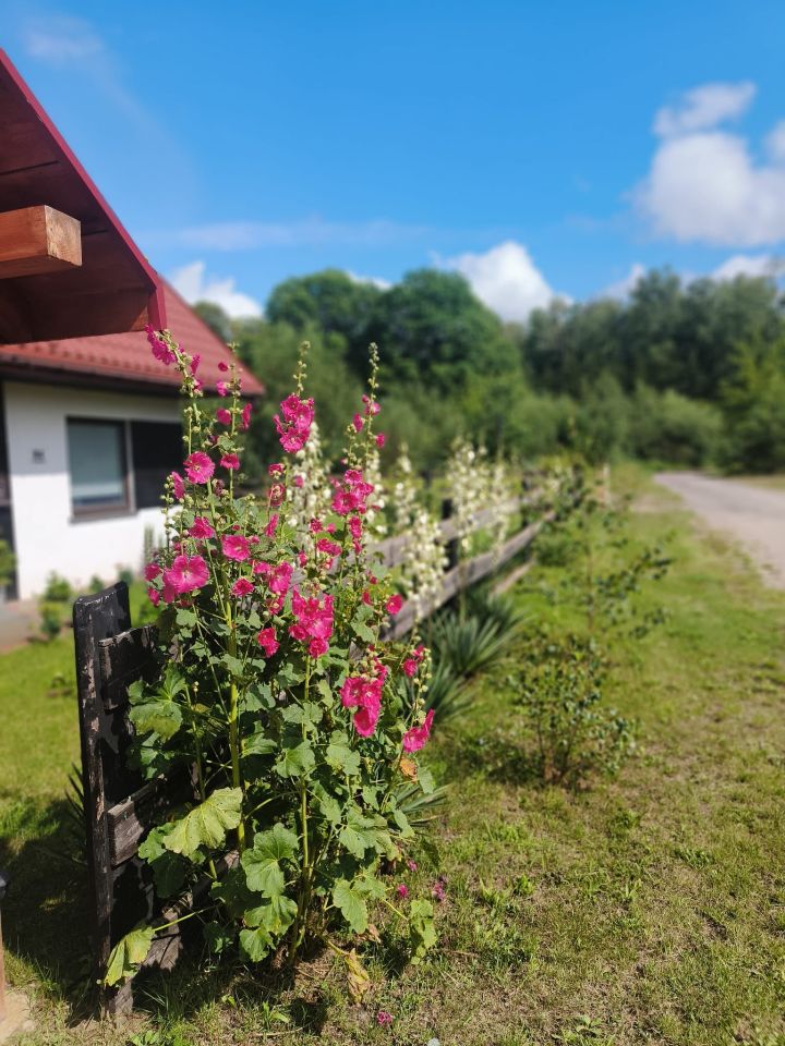 dom wolnostojący, 5 pokoi Prażmowo. Zdjęcie 5