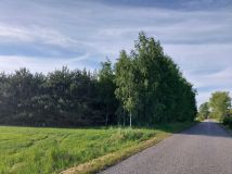Działka leśna Zakrzewo-Parcele. Zdjęcie 1