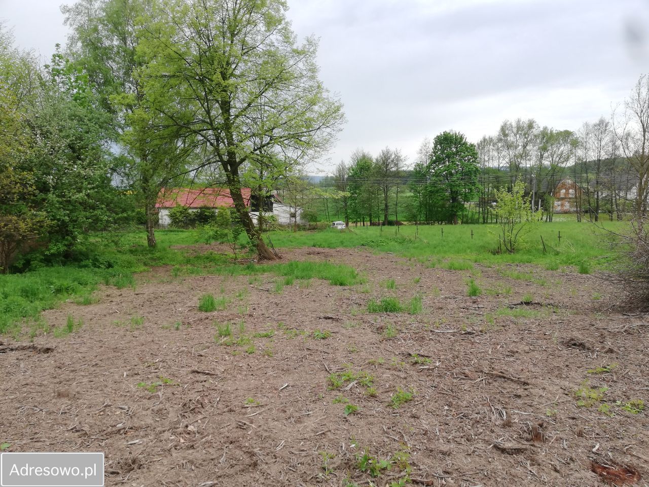 Działka rolna Niwa. Zdjęcie 4