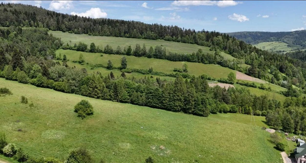 Działka budowlana Łosie. Zdjęcie 5