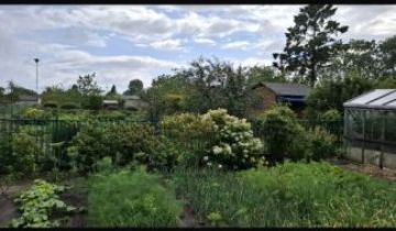 Działka rod Gdańsk Stogi, ul. Ugory