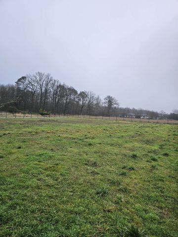 Działka siedliskowa Kajew. Zdjęcie 9