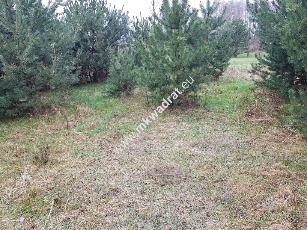 Działka budowlana Marynin. Zdjęcie 7