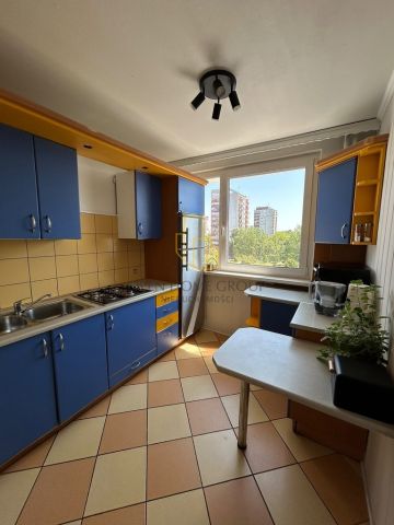 Mieszkanie 1-pokojowe Wrocław Kozanów, ul. Kolista. Zdjęcie 2