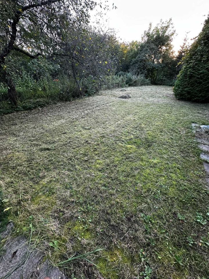 Działka rod Sosnowiec, ul. Działkowa. Zdjęcie 3