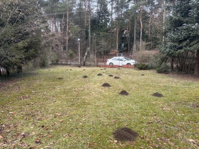 Działka budowlana Jedlicze A, ul. Rekreacyjna. Zdjęcie 1