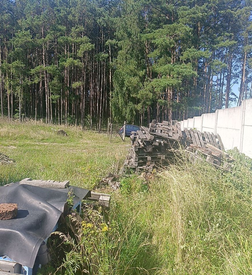 Działka budowlana Wilkanowo. Zdjęcie 8