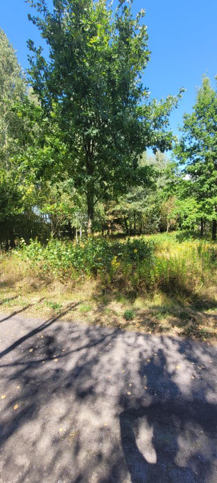 Działka budowlana Sokóle. Zdjęcie 5