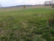 Działka rekreacyjna Lipinki. Zdjęcie 2