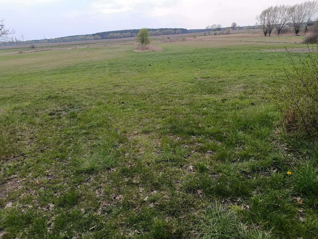 Działka rekreacyjna Lipinki. Zdjęcie 3