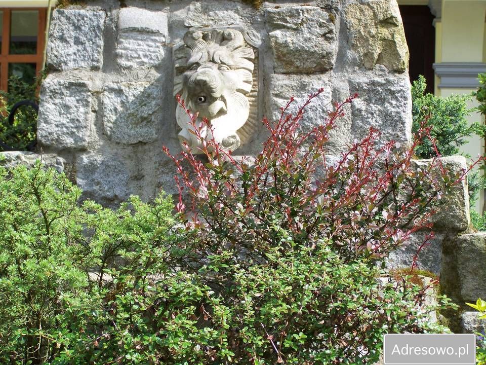 Nieruchomość komercyjna Racibórz. Zdjęcie 10