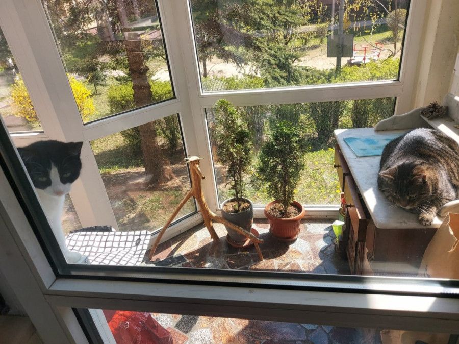 Mieszkanie 4-pokojowe Gdańsk Ujeścisko, ul. Łódzka. Zdjęcie 16