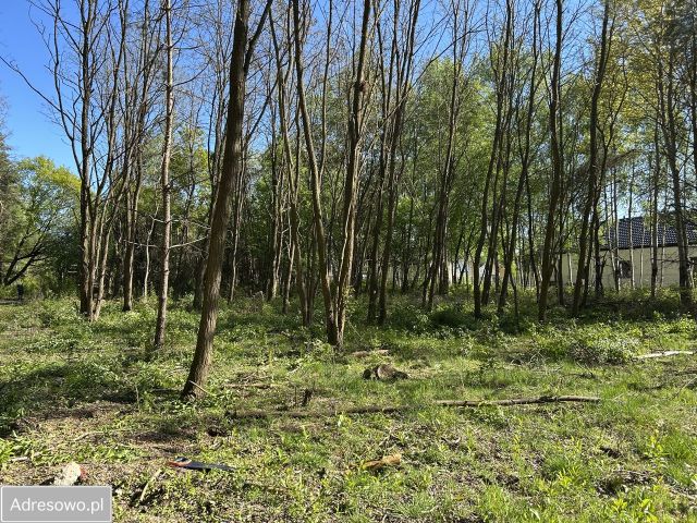 Działka budowlana Musuły, ul. Kwiatu Paproci. Zdjęcie 1